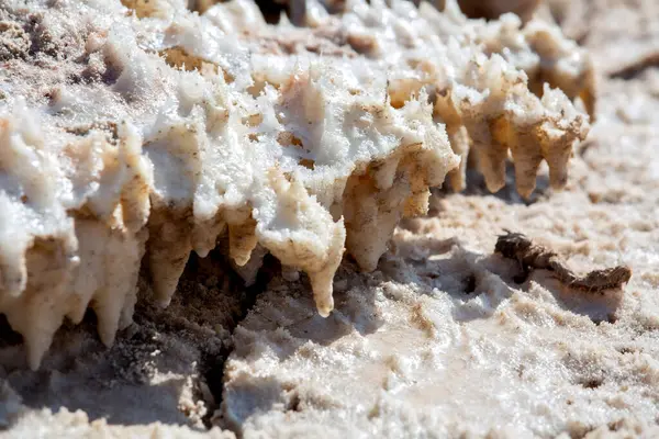 Doğal tuz kristalleri Ölü Deniz 'de, yeryüzünün en alt noktasında.