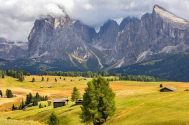 Dolomitler Alpe di Siusi, İtalya güzel manzara, vadiyle doğal sonbahar manzarası, Sasso lungo dağı ve çayırları