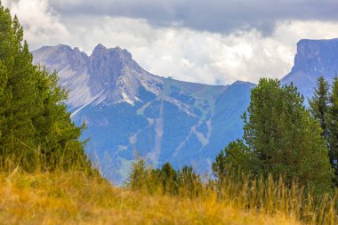 Dolomitler Alpe di Siusi, İtalya güzel manzara, dağlar ve çam ağaçları ile doğal sonbahar manzarası