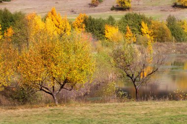 Altın sihirli sonbahar renkli sonbahar ağaçları. Romantik göl manzarası