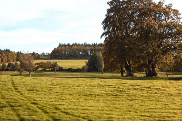 秋の色のイングランドの田舎 静けさ ロイヤリティフリーのストック画像