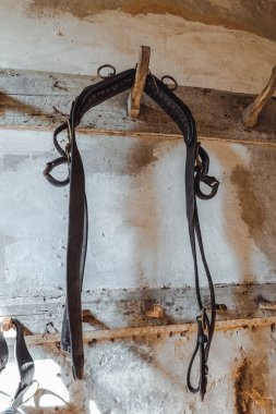 Klasik profesyonel binicilik ekipmanları. 