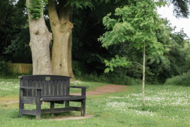 Güzel sahne. İngiltere kırsalında, Birleşik Krallık 'ın kuzeydoğusunda.