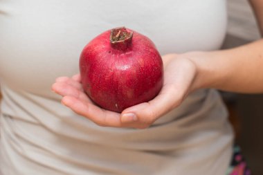 Cradling a Whole Pomegranate. Holding a whole ripe pomegranate in the palms clipart