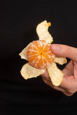 Peeling a Fresh Orange Mandarin. Female Hands skillfully peeling a juicy ripe mandarin clipart