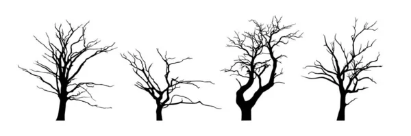 Διάφορα Νεκρά Δέντρο Συλλογή Σιλουέτα — Διανυσματικό Αρχείο