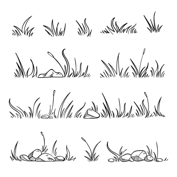 Set Van Met Hand Getrokken Gras Illustratie — Stockvector