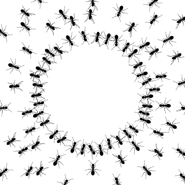 一群蚂蚁环绕在一个空的圆形背景周围 图库插图