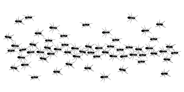 白底工蚁的蚂蚁踪迹 免版税图库矢量图片