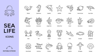 A collection of 30 sea life icons in a minimalist line art style, featuring various marine animals and plants like dolphins, starfish, sharks, and seaweed. Editable Stroke