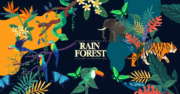 Collection Wild Rain Forest Plants Trees Animals Vector Illustration Layout — Stock Vector