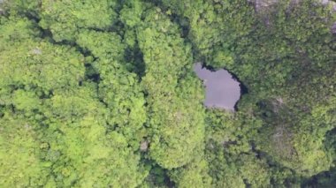 Kireçtaşı kayaları olan tropikal adanın yukarıdan görünüşü, Maya Körfezi Phi Adaları, Krabi, Tayland.