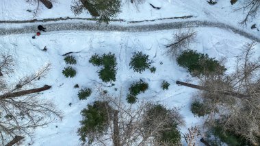 Kış boyunca yol manzarası ve donmuş orman. Karlı İHA 'dan doğal kış manzarası.