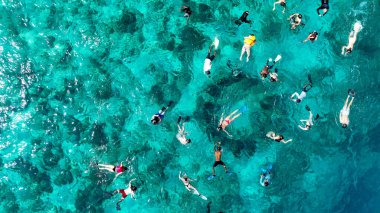 Turistler, Gili Meno ve Trawangan adaları arasındaki güneşli yuva heykellerinde şnorkelle yüzüyor..