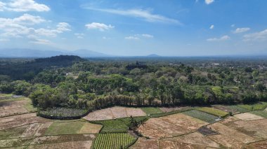 Pirinç tarlaları ve köylerle çevrili Borobudur, Central Javas 'ın canlı kırsal bölgelerine kusursuz bir şekilde karışan muazzam bir dönüm noktası olarak duruyor..
