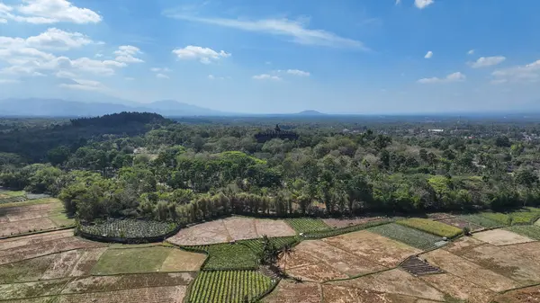 Pirinç tarlaları ve köylerle çevrili Borobudur, Central Javas 'ın canlı kırsal bölgelerine kusursuz bir şekilde karışan muazzam bir dönüm noktası olarak duruyor..