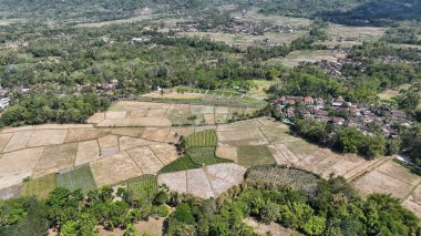 Canlı yeşillik ve geleneksel tarım arazileriyle çevrili, Java kırsalının göbeğine kurulmuş, yemyeşil çayırların ve kırsal bir köyün çarpıcı hava manzarası..