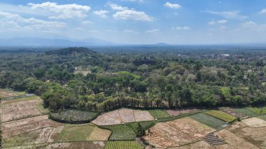 Görkemli Borobudur Tapınağı 'nı çevreleyen yemyeşil alanlar ve tropikal ormanlar, parlak mavi gökyüzünün altında Orta Java' nın kalbinden yükseliyor..