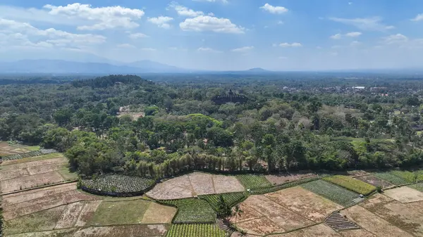 Görkemli Borobudur Tapınağı 'nı çevreleyen yemyeşil alanlar ve tropikal ormanlar, parlak mavi gökyüzünün altında Orta Java' nın kalbinden yükseliyor..
