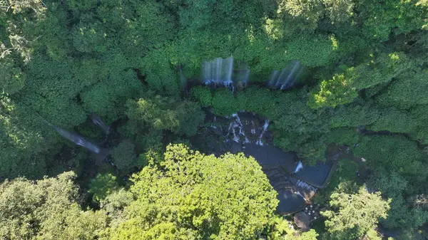 Benang Kelambu Şelalesi 'nin çağlayan katları etrafındaki ormanla sorunsuz bir şekilde harmanlanarak Lombok' un bereketli arazisinin derinliklerine yerleşmiş sakin bir geri çekilme oluşturur..