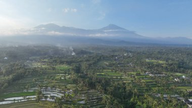 Lombok ikonik volkanı Rinjani Dağı 'nın görkemli siluetinin altında yemyeşil pirinç teraslarının nefes kesici hava manzarası sergilenmektedir. Sisli bulutlar, Gunung Rinjani 'nin gücünü ön plana çıkarıyor.