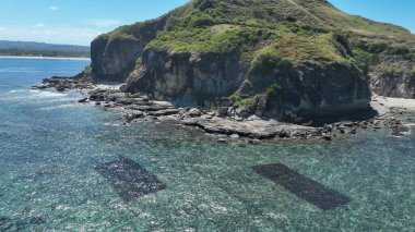 Arkasında yemyeşil bir yamaç ve mavi bir okyanus olan kayalık bir kıyı şeridi. Sahne sakin ve huzurlu, okyanus dalgaları yavaşça kayalara çarpıyor..