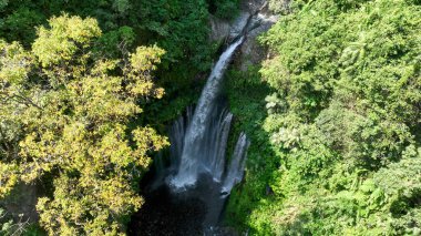 Tiu Kelep - Endonezya 'nın Lombok adasındaki yoğun tropikal ormanlarla çevrili en güzel ve ünlü şelalelerden biri. Popüler turizm merkezi. Hava aracı görüntüsü. Çarpıcı vahşi doğa..