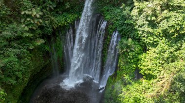 Tiu Kelep şelalesi sarp kayalıklardan aşağı, yoğun yağmur ormanları tarafından kucaklanan derin bir zümrüt havzasına düşer. Canlı yeşil bitkiler Lombok hazinesinin vahşi güzelliğini vurguluyor..