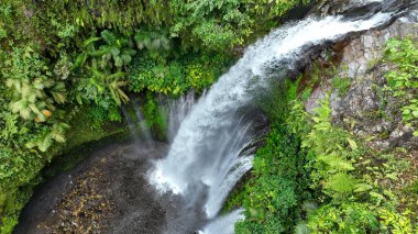 Tiu Kelep şelalesinin Lombok 'taki yemyeşil tropikal yeşillikte batışını gösteren hava manzarası. Güçlü şelale, canlı orman yapraklarıyla çevrili sisli bir manzara yaratır..