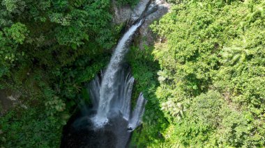 Tiu Kelep şelalesinin yoğun Lombok ormanına düşüşünün havadan görüntüsü. Yeşillik güçlü çağlayanı çerçeveler, vahşi doğada gizlenmiş tropik bir cennet yaratır..
