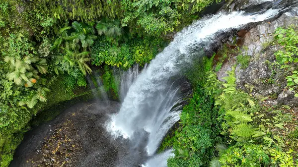 Tiu Kelep şelalesinin Lombok 'taki yemyeşil tropikal yeşillikte batışını gösteren hava manzarası. Güçlü şelale, canlı orman yapraklarıyla çevrili sisli bir manzara yaratır..