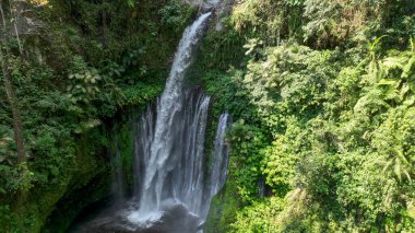 Tiu Kelep şelalesinin dramatik düşüşü yağmur ormanlarında patlar. Eğreltiotları ve palmiyeler arasında sisi yükselir. Bu manzara Lombok 'un saf gücünü ve huzurunu gösteriyor..