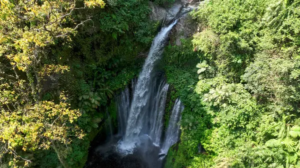 Lombok 'taki Tiu Kelep şelalesi canlı yağmur ormanlarıyla çevrili, yukarıdan ele geçirildi. Su, bu doğal harikanın dokunulmamış güzelliğini vurgulayarak karanlık bir havuza düşer..