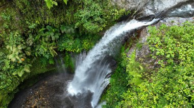 Bu hava görüntüsü Tiu Kelep şelalesinin dramatik akışını kayalık bir uçuruma doğru yontuyor, her yandan yoğun yeşil yağmur ormanları tarafından kucaklanıyor..