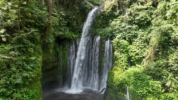 Tiu Kelep şelalesinin bir görüntüsü, Lombok 'taki yoğun yağmur ormanları tarafından çerçevelenen yosunlu uçurumlardan süzülen dramatik düşüşü yakalıyor..