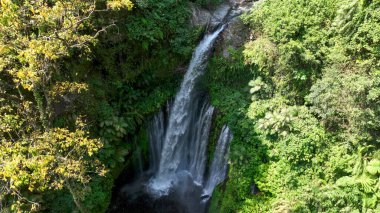 Lombok 'taki Tiu Kelep şelalesi canlı yağmur ormanlarıyla çevrili, yukarıdan ele geçirildi. Su, bu doğal harikanın dokunulmamış güzelliğini vurgulayarak karanlık bir havuza düşer..