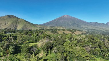 Sembalun 'un görkemli yamaçları Rinjani Dağı' nın altına yayılarak, tropikal güneşin altında kayan tepelerden ve volkanik araziden oluşan dramatik bir manzara yarattı..