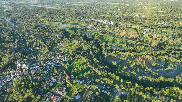 Ufuktaki yeşil ve uzak dağların arasına yerleşmiş kırsal köylerle birlikte, Lombok yamalı pirinç terasları ve palmiye ağaçlarının canlı hava perspektifi.