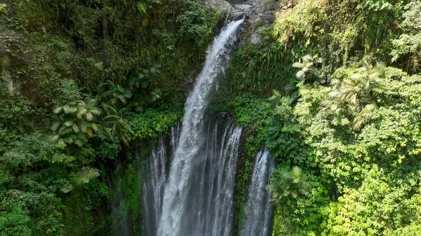 Tiu Kelep şelalesinin Lombok 'taki verimli tropik yeşilliklerle çevrili nefes kesici hava manzarası. Güçlü şelale aşağıdaki sisli havuza dalıyor ve büyülü bir orman sahnesi yaratıyor.