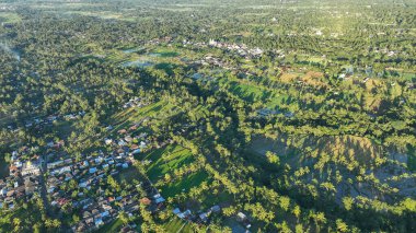 Lombok üzerinde çarpıcı bir insansız hava aracı manzarası pirinç tarlaları ve yoğun palmiye ormanları, adaların kırsal cazibesini ve tropikal tarımın karmaşık örüntülerini ele geçirdi..