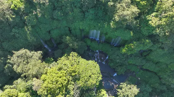 Lombok tropikal ormanda Benang Kelambu şelale havadan görünümü, Endonezya.