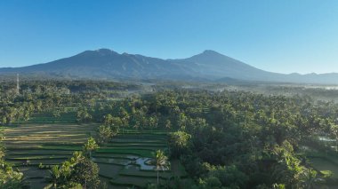 Endonezya 'nın Lombok Dağı eteğindeki yemyeşil pirinç terasları ve tropikal ormanların nefes kesici manzarası sabahın erken saatlerinde yıkandı..