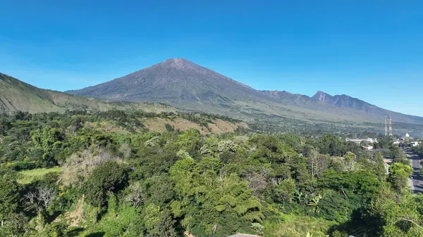 Sembalun 'un yemyeşil manzarasından yükselen Rinjani Dağı' nın nefes kesici hava manzarası. Açık mavi gökyüzü volkanik zirveyi ve aşağıdaki canlı yeşil vadiyi vurgular..