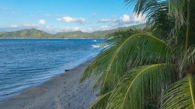 Palmiye yaprakları Lombok Adası 'nda sakin bir tropik plajı çerçeveler. Sakin mavi deniz, parlak gökyüzünün altındaki uzak yeşil tepelere kadar uzanıyor. Rahatlama ve maceraya davetiye çıkarıyor..