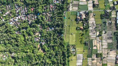Tropikal ormanın geometrik pirinç tarlalarıyla buluştuğu Amed köyünün üzerinde eşsiz bir hava perspektifi. Manzara kırsal evler ve Bali tarımının karışımını gösteriyor..