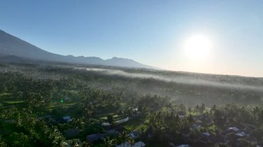 Tetebatu 'daki güzel yeşil pirinç teraslarının hava manzarası. Lombok sabahın erken saatlerinde yıkandı..