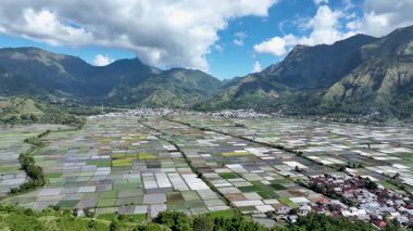 Sembalun 'daki renkli tarım arazilerinin, yuvarlanan bulutların altındaki dramatik volkanik tepelere doğru uzanmasına hayret etmek doğa severler için gerçek bir cennettir..