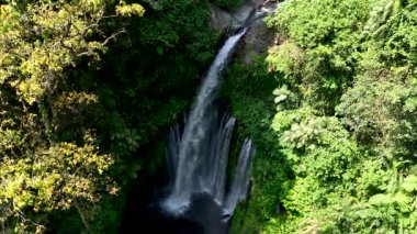 Tiu Kelep - Endonezya 'nın Lombok adasındaki yoğun tropikal ormanlarla çevrili en güzel ve ünlü şelalelerden biri. Popüler turizm merkezi. Hava aracı görüntüsü. Çarpıcı vahşi doğa..