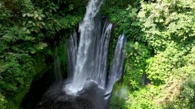 Lombok 'taki Tiu Kelep şelalesi canlı yağmur ormanlarıyla çevrili, yukarıdan ele geçirildi. Su, bu doğal harikanın dokunulmamış güzelliğini vurgulayarak karanlık bir havuza düşer..