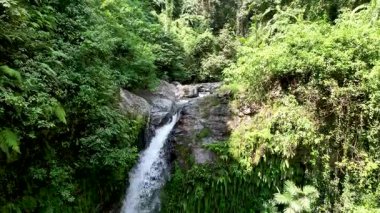 Tiu Kelep şelalesinin yukarıdan aşağı perspektifi, kıvrımlı nehrin sık ormanı kestiğini ortaya koyuyor. Su, gizli vadiye inmeye hazırlanırken parıldıyor..